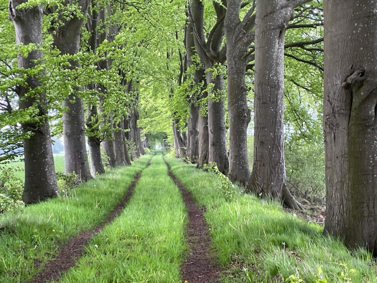 Het Riethuis Holthone Экстерьер фото